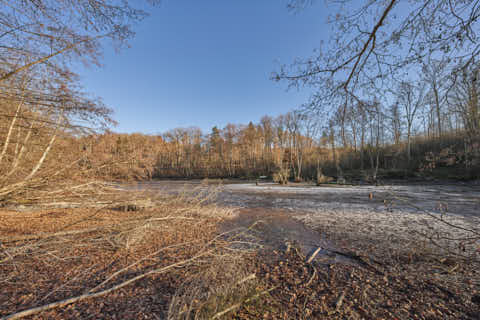 Gemeinde Eggenfelden Landkreis Rottal-Inn Gern Lichtlberger Wald (Dirschl Johann) Deutschland PAN